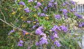 Tour Wandern La Trinité - bouc’le spoutourne  - Photo 1