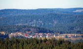 Tocht Te voet Graineter Wald - Rundwanderweg 5 (Haidel) - Photo 3