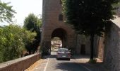 Randonnée A pied Bertinoro - La Via delle Vigne - Photo 8