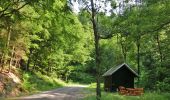 Percorso A piedi Weidenberg - Sophienthal Rundwanderweg Nr. 3 - Photo 1