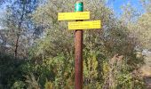 Trail Walking Saze - Saze reconnaissance. Laurette le 09 02 2025 - Photo 20
