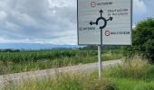 Percorso Bicicletta elettrica Ostwald - Randonnée Vosges Ballbronn  - Photo 20