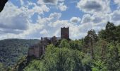 Excursión Senderismo Ribeauvillé - châteaux de Ribeauvillé  - Photo 2