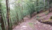 Trail Walking Ouhans - RANDONNEE A LA SOURCE DE LA LOUE - Photo 6