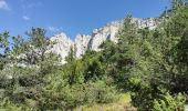 Excursión Senderismo Die - Le Dôme ou Pié Ferré de l'Abbaye Valcroissant - Photo 11