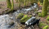 Trail Walking Le Tholy - Les 2 cascades du Tendon (grand tour) - Photo 15