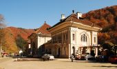 Tocht Te voet Sinaia - Sinaia - Șaua Vârfului cu Dor - Cabana Padina - Photo 9