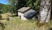 Trail Walking Dourbies - La Bascule Le Ginestou La Bascule  - Photo 4