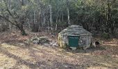 Excursión Senderismo La Roquebrussanne - Jas d'Agnis au départ de la Roquebrussanne par le vallon de Valescure - Photo 17