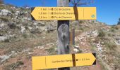 Trail Walking Gap - cretes de charance - Photo 2