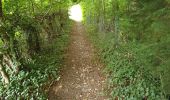 Trail Trail Anhée - annevoie - Photo 2
