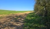 Percorso Marcia Étampes - Etampes - Sentier des plateaux - Photo 20