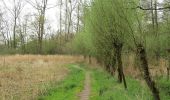 Trail On foot Riemst - Molenbeemd Natuureducatief pad - Photo 4