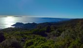 Trail Walking Le Lavandou - les hauts de Pramousquier - Photo 4