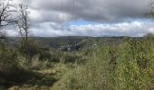 Tocht Stappen Bouziès - Vallée du lot - Vallée du Celle - Photo 11