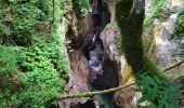 Trail Walking Bohinj - Gorges - Photo 2