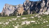 Excursión A pie Gresse-en-Vercors - Massif Aiguille et Grand Veymont - Photo 3