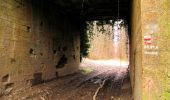 Tour Zu Fuß Villers-Cotterêts - le GR11A  dans la Forêt de Retz  - Photo 2