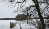 Trail On foot Unknown - Kinnordy Loch - Photo 6