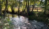 Tocht Stappen Mont-Saint-Guibert - Mont St Guibert - Photo 16