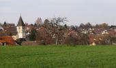 Tocht Te voet Karlsbad - Kuckucksweg - Photo 10