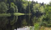 Tocht Stappen Lepuix - Ballon d'Alsace par la cascade du Rummel - Photo 8