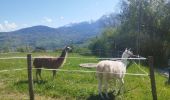 Trail Walking Saint-Martin-d'Uriage - St Niez d'Uriage - Photo 3