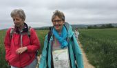 Trail Walking Mareil-sur-Mauldre - Mareil sur Mauldre à Neauphle le vieux  - Photo 2