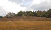 Tocht Stappen Zonhoven - Zonhoven (De Teut) - Photo 2