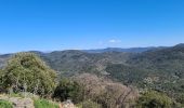 Tour Wandern La Garde-Freinet - La garde freinet - Notre Dame de Miremer - Photo 10