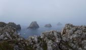 Trail Walking Crozon - pointe de Pen Hir - Photo 3