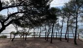 Trail Walking Le Pradet - Fort bayarde - Photo 13