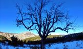 Tour Wandern Serres - 20191212_Serres - Les Trois Boucles - Photo 2