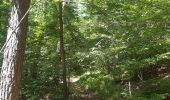 Trail Walking Theux - jehanster . croix du petit Jean . vervifontaine . foyr . surister . jehanster  - Photo 3