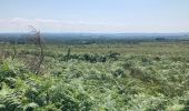 Tocht Stappen Plounéour-Ménez - Roch Trévézel  - Photo 12