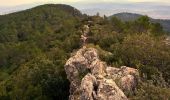 Tour Wandern Solliès-Toucas - Valaury - Apier - Matheron - Photo 20