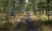Tocht Stappen Vred - Les tourbières de Vred et les marais de la Scarpe - Photo 2