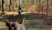 Trail Horseback riding Florenville - Les Epioux  - Photo 4