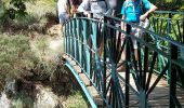 Trail Walking Dourbies - aigoual esperou - Photo 2