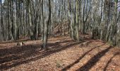 Tour Zu Fuß Pretzfeld - Rundweg Wannbach - Wolkenstein - Photo 4