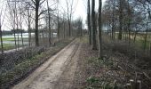 Excursión A pie Tongeren - Mulken Beukenberg Rood - Photo 8