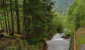 Tocht Stappen Chamonix-Mont-Blanc - Chamonix La Cascade du dard  - Photo 4