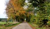 Trail Walking Libramont-Chevigny - Entre Vierre et Ourthe - Photo 14