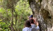 Excursión Senderismo São Jorge - Levada del Rei - Photo 5