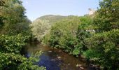 Trail Walking Molompize - Cantal - Molompize - Aurouze et Suc de Védrines - 17.7km 770m 7h05 - 2019 07 02 - Photo 5