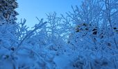 Trail Cross-country skiing Thélis-la-Combe - ski alternatif - Photo 1