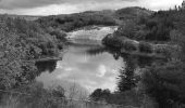 Trail Walking Fayence - St Paul en Forêt - Lac de Méaulx - Pont de l'Endre - Piste Colle Douce - Photo 5