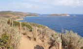 Tocht Stappen La Croix-Valmer - gigaro. CAP taillat, Cap lardier  - Photo 2