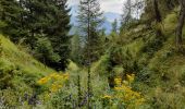 Tocht Stappen Moulinet - Col de Turini  - Photo 1