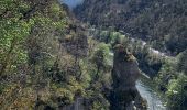 Tocht Stappen Massegros Causses Gorges - GR DE PAYS Causse Mejean et Gorges du Tarn  - Photo 11